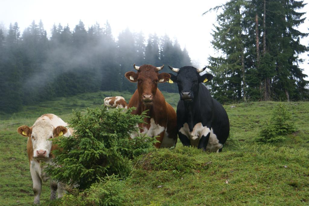 Das Sonneck Mühlbach am Hochkönig Esterno foto